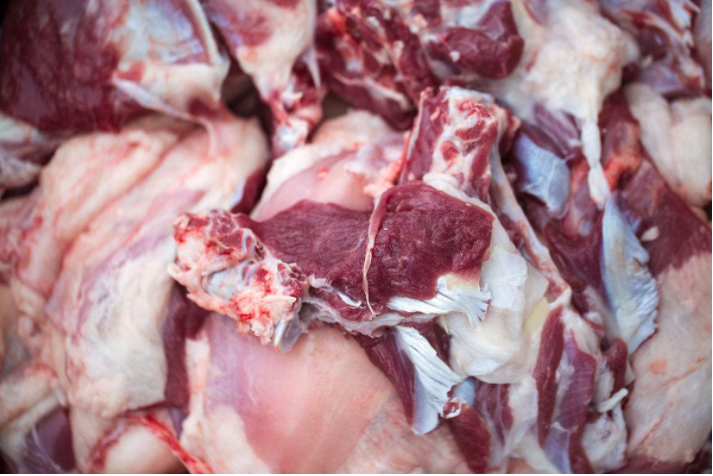 冬季男性補腎吃什么食物好 冬季補腎好時節 冬季男性補腎吃什么食物好 冬季補腎好時節