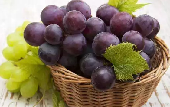 備孕怎么補血  備孕補血方法推薦