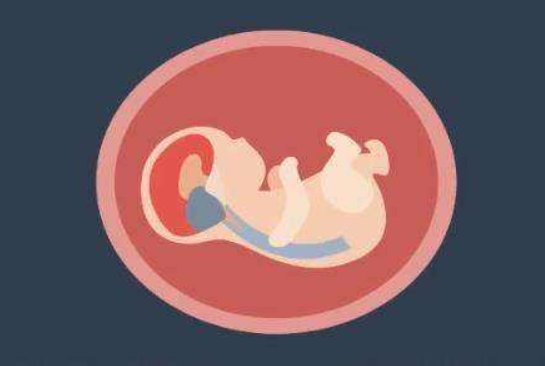 NT檢查正常值是多少 NT檢查報告指標怎么看