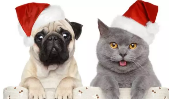 幼兒園中班平安夜活動方案 2018平安夜幼兒園中班活動方案