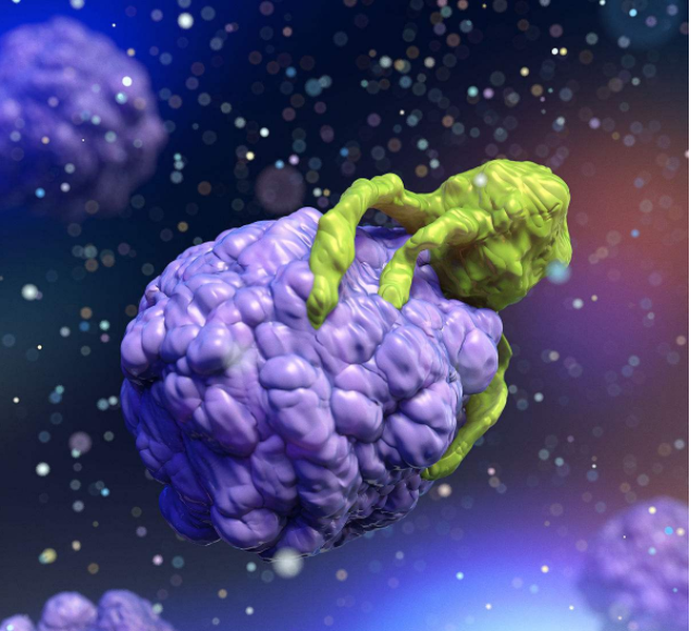 奇葩說邱晨患癌是怎么回事 奇葩說邱晨自爆患有淋巴結(jié)