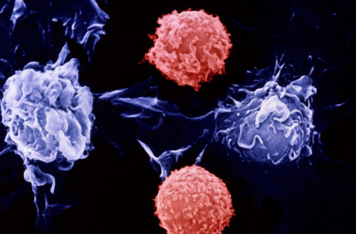 奇葩說邱晨患癌是怎么回事 奇葩說邱晨自爆患有淋巴結(jié)