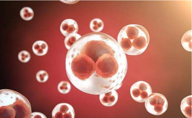 吃了緊急避孕藥為什么還會懷孕 吃緊急避孕藥會導致胎兒畸形嗎