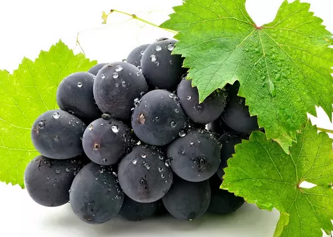 孕婦吃什么水果能增強寶寶抵抗力 增強抵抗力的水果