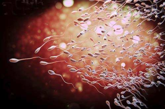 受精卵不著床是什么原因 受精卵著床詳細過程