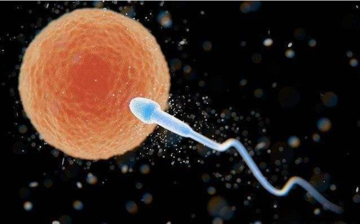 受精卵不著床是什么原因 受精卵著床詳細過程