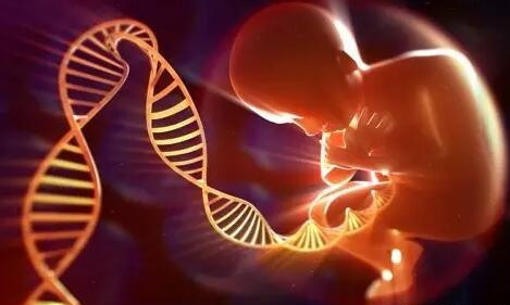 胎停育的原因有哪些 胎停育原因介紹