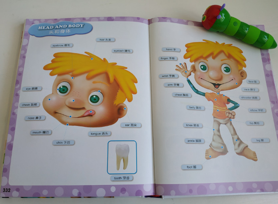 毛毛蟲點讀筆怎么樣 毛毛蟲點讀筆好用嗎