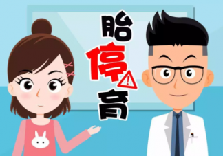 胎停育有哪些前兆 胎停育前兆癥狀一覽