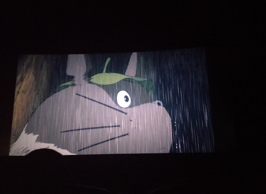 看龍貓小孩子多嗎 十二月適合小孩子看電影推薦