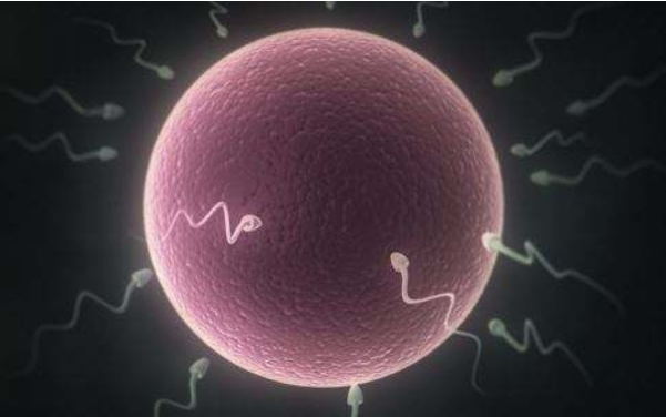 男性精液發(fā)黃正常嗎 男性精液發(fā)黃有什么危害 男性精液發(fā)黃正常嗎 男性精液發(fā)黃有什么危害