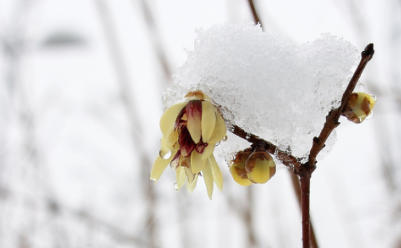 2018冬至節氣祝福語錄 今日冬至心情說說