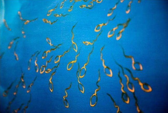 男性冷凍精子最佳年齡是什么時候 男性冷凍精子會影響試管嬰兒質量嗎