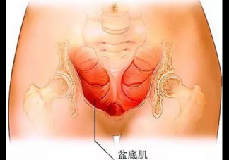 產后盆底肌松弛怎么回事 產后盆底肌松弛的原因
