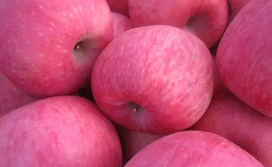 冬至吃什么水果好 冬至水果選擇推薦