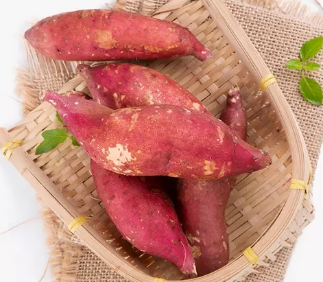 紅薯有什么好處 紅薯怎么吃 紅薯有什么好處 紅薯怎么吃