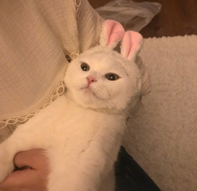 寶寶睡前故事：親一親，抱一抱