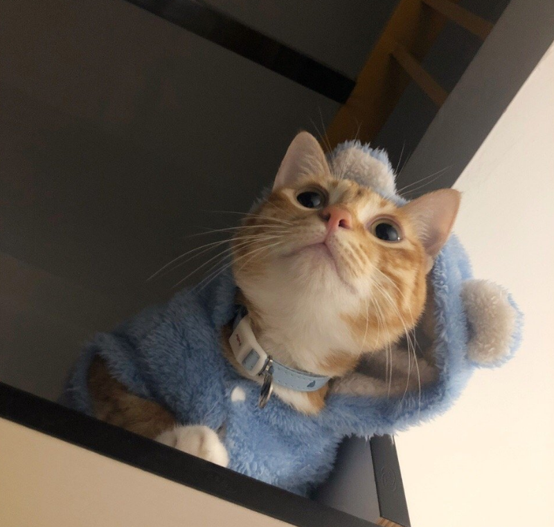 寶寶睡前故事：親一親，抱一抱