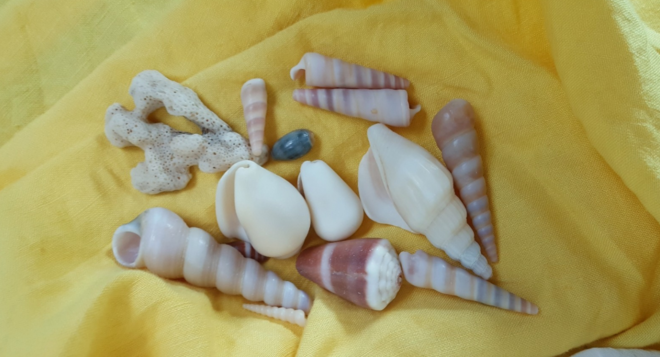 學齡前寶寶睡前故事：比海更深