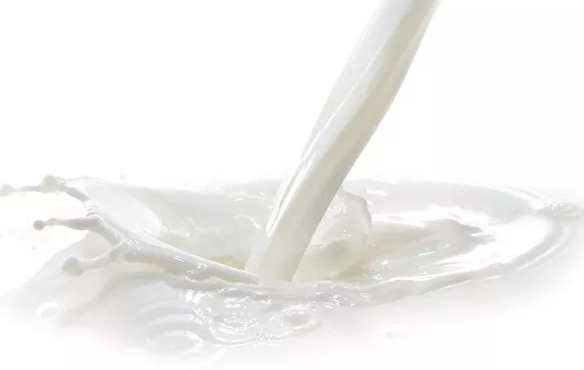 寶寶吃乳鐵蛋白有用嗎 寶寶吃乳鐵蛋白的作用