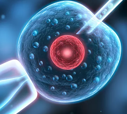 做試管嬰兒要滿足什么條件 試管嬰兒怎么做