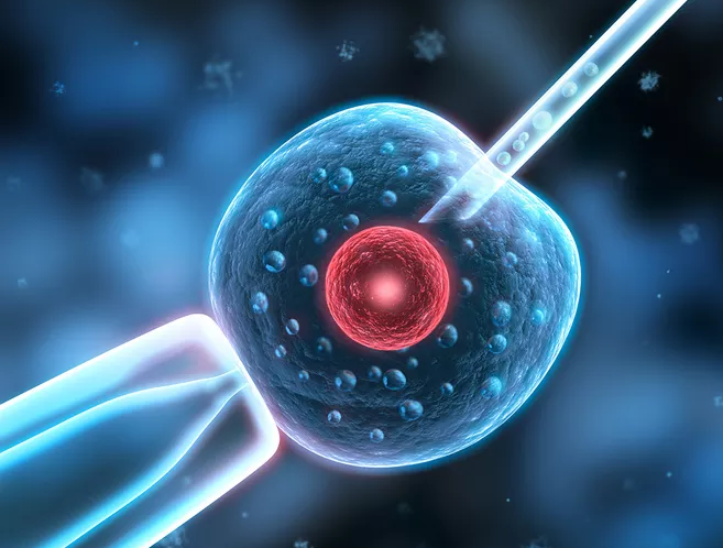 高齡女性試管嬰兒一次取多少卵合適 試管嬰兒取卵越多越好嗎