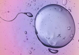 卵泡發育不好怎么回事 卵泡發育不好的原因