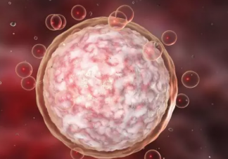 卵泡發育不好怎么調理 卵泡發育不好調理方法