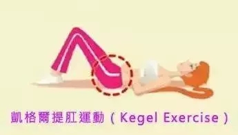 產(chǎn)后盆骨修復(fù)運動圖示 產(chǎn)后盆骨修復(fù)訓練