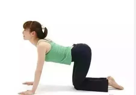 產(chǎn)后盆骨修復(fù)運動圖示 產(chǎn)后盆骨修復(fù)訓練