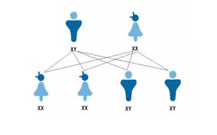 預產期提前是男孩還是女孩 預產期提前生男孩靠譜嗎