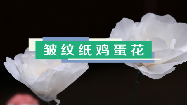 皺紋紙雞蛋花視頻教程 皺紋紙雞蛋花步驟圖