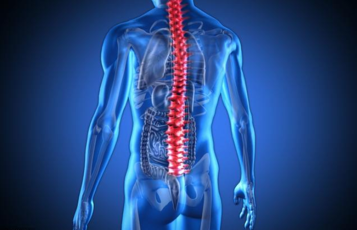 孩子脊柱側彎怎么辦 孩子脊柱側彎治療方法