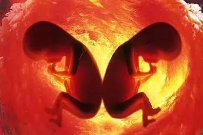 吃排卵藥能懷雙胞胎嗎 吃排卵藥有什么副作用