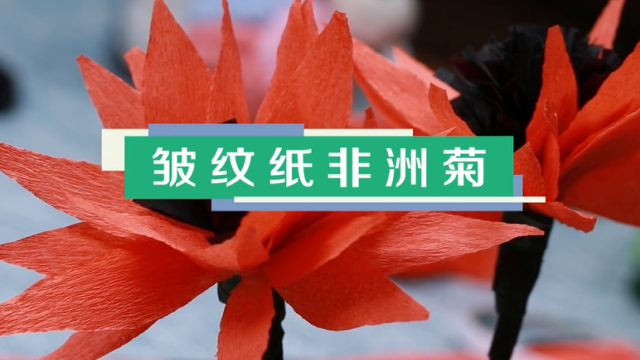 皺紋紙非洲菊視頻教程 皺紋紙非洲菊制作圖解
