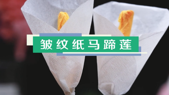 皺紋紙馬蹄蓮視頻教程 皺紋紙馬蹄蓮做法圖解