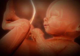 孕婦四維彩超需要空腹嗎 四維彩超需要憋尿嗎