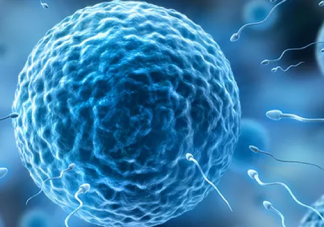 子宮內膜厚度多少正常 子宮內膜怎么才能留住胚胎