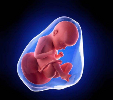 孕期羊水不足有什么預兆 孕期羊水不足的癥狀表現