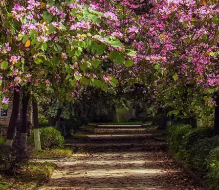 為什么春季不適合備孕 哪個季節適合備孕