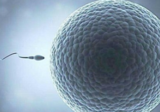 受精卵著床失敗有什么癥狀 受精卵著床失敗的表現(xiàn)