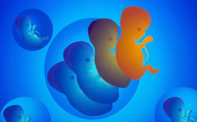 胎停育后多久可以再懷孕 胎停育再次懷孕要注意什么