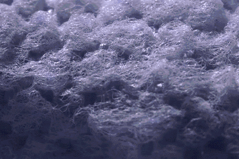 花王尿不濕怎么辨別真假 花王尿不濕真假辨別方法