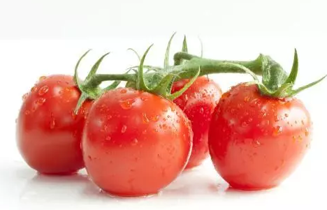 大寒吃什么食物好 2019大寒節氣食物推薦