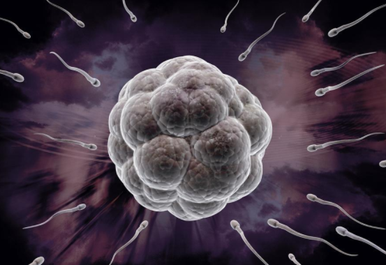 男性改善精子質量的方法 提高精子質量的10個妙招