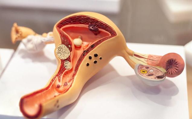 女性子宮機能不好身體有哪些表現 子宮機能不好能備孕嗎