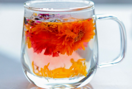 孕期可以喝菊花茶嗎 孕婦喝菊花茶好嗎