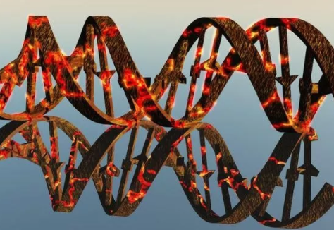 空囊是怎么造成的 懷孕空囊的原因