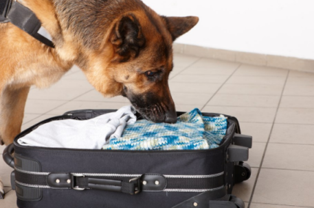 春節(jié)帶娃回家需要準備哪些東西 春運帶娃物品清單