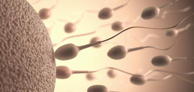 春節哪些行為最傷精 孕前如何保護好精子